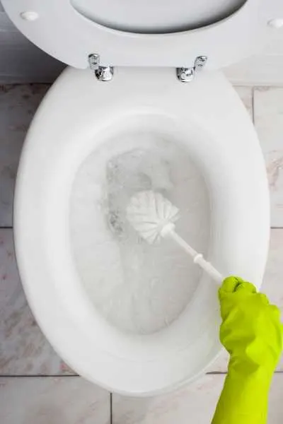 DIY toilet bowl cleaner