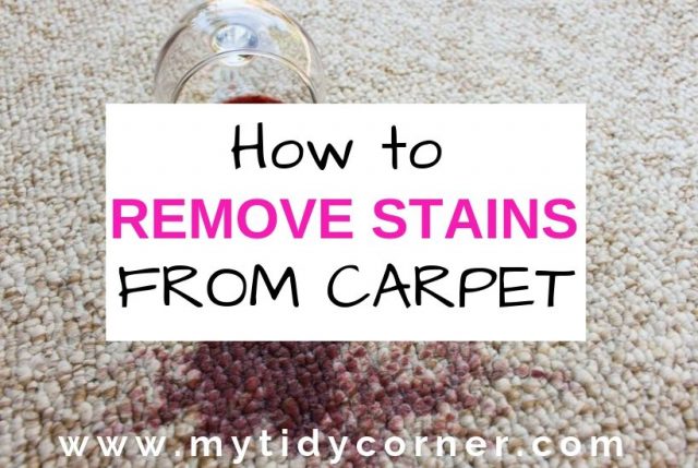How to Remove Stains from Carpet - Simple Tips, Tricks & Hacks!