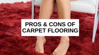 Advantages and disadvantages of carpet flooring