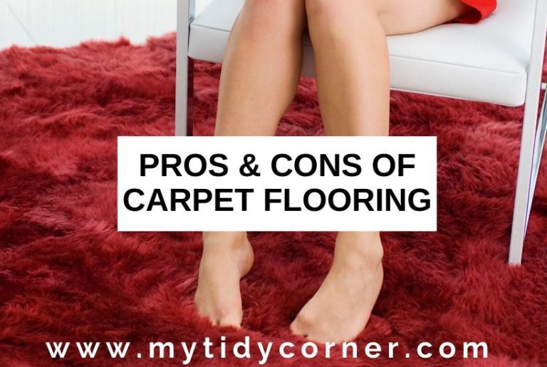 Advantages and Disadvantages of Carpet Flooring You Need to Know!