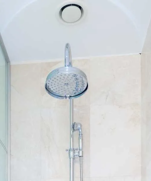 Shower head cleaning