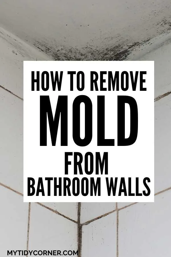 How to clean mold off bathroom walls