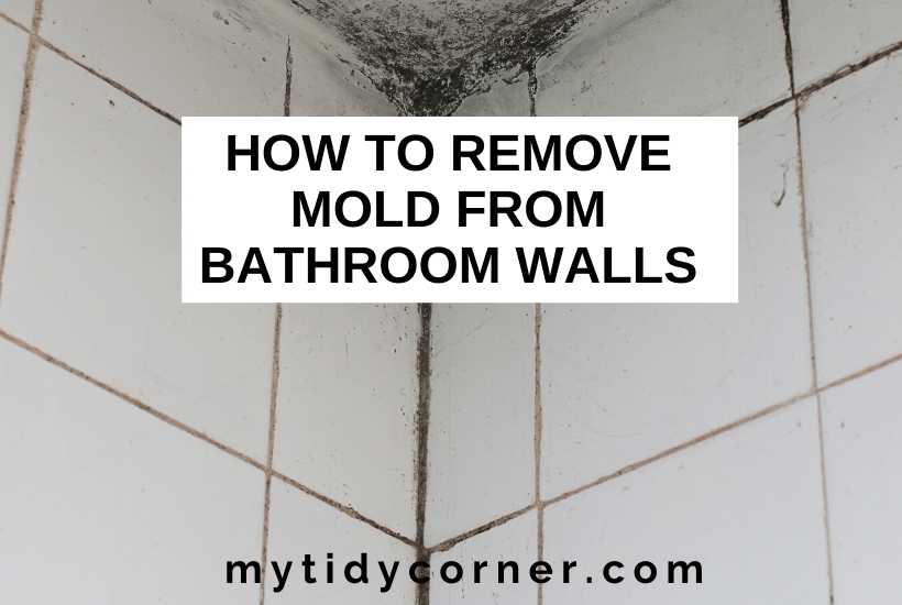 How To Remove Mold From Bathroom Walls 6 Cleaning Tips - How To Clean Mold In Bathroom Wall