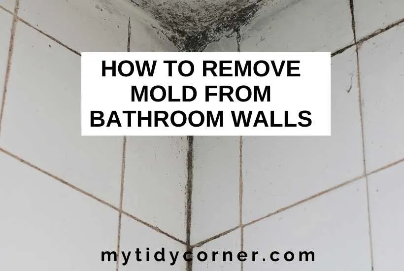 How To Remove Mold From Bathroom Walls 6 Cleaning Tips - Cleaning Mold Off Of Bathroom Walls