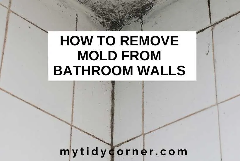 How To Remove Mold From Bathroom Walls 6 Cleaning Tips - How To Remove Mold On Bathroom Walls How To Remove Mold From Bathroom Walls 6 Cleaning Tips - How To Remove Mold On Bathroom Walls