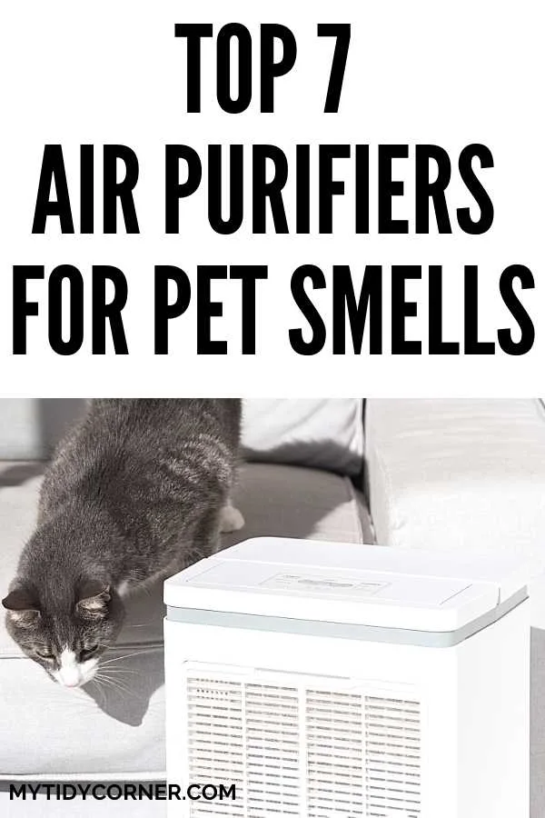 Best air purifiers for pet odors