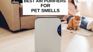 Best air purifiers for pet smell