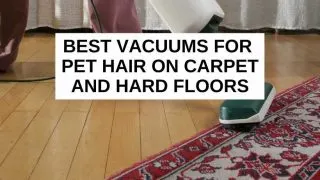 Best vacuums for pet hair on carpet and hardwood floors