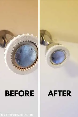 Cleaning showerhead with vinegar - before and after photo