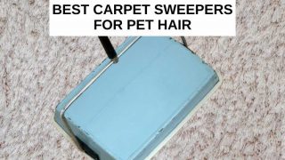 Best carpet sweepers for pet hair