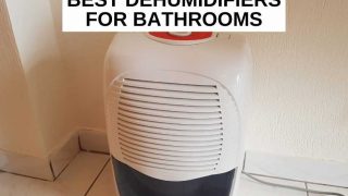 Best dehumidifiers for bathrooms
