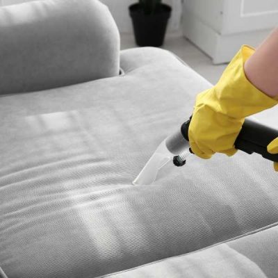 steam cleaning couch cushions