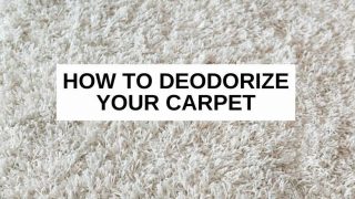 How to deodorize carpet