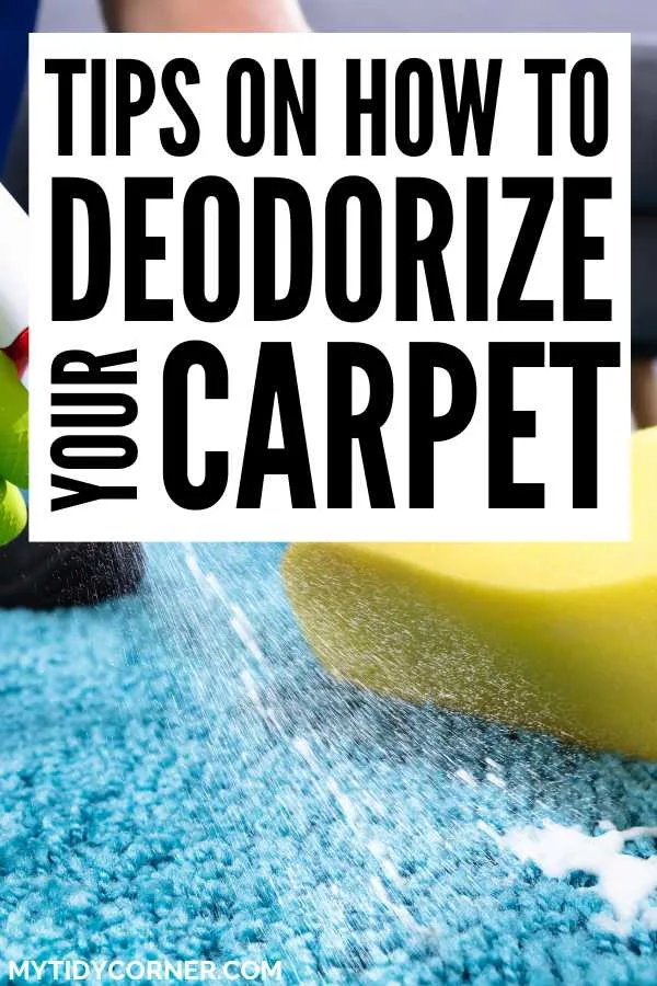 Someone cleaning a carpet and text overlay that says, "Tips on how to deodorize your carpet".
