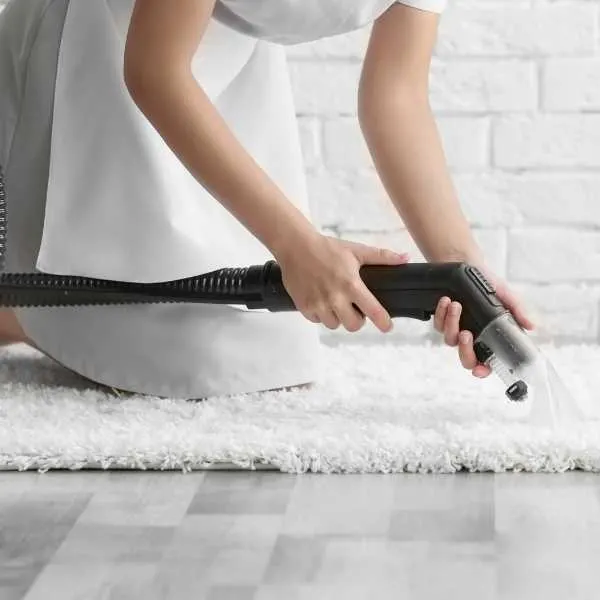 Carpet cleaning area rugs yourself