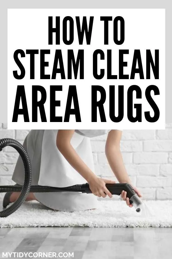 Steam cleaning area rugs