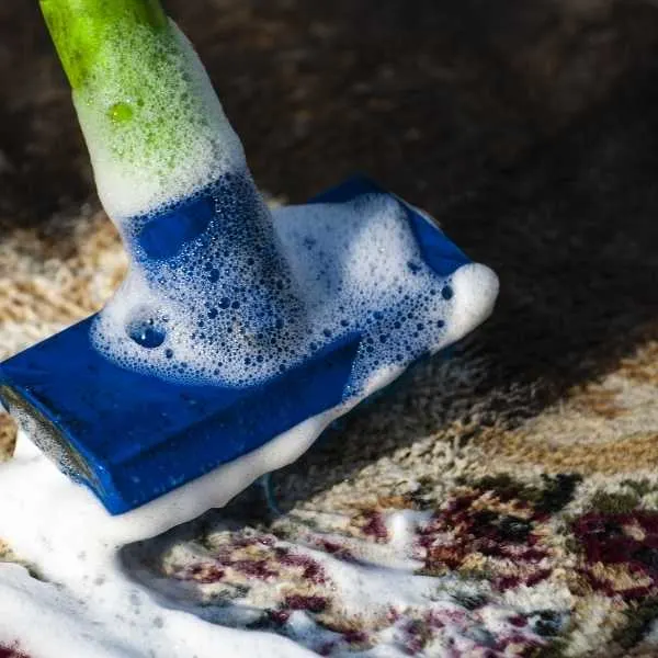 Carpet shampooer on a carpet