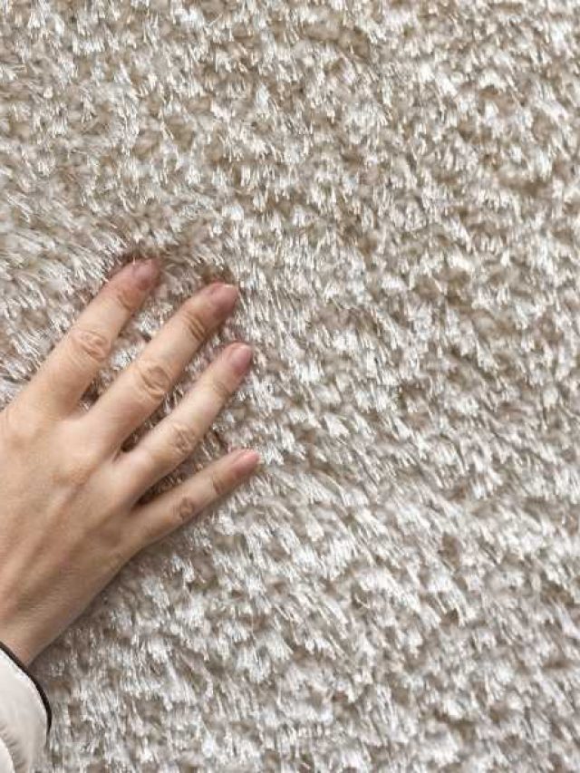 How to Remove Odor from a Carpet – Easy Deodorizing Tips