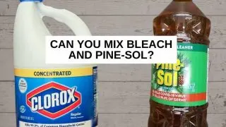 A bottle of bleach and Pine-sol with text that says, 