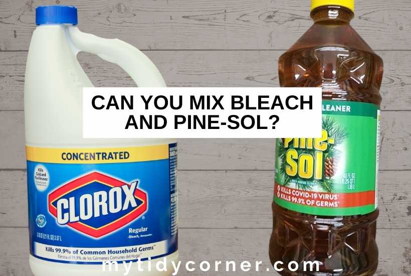 A bottle of bleach and Pine-sol with text that says, "Can you mix bleach and Pine-Sol".