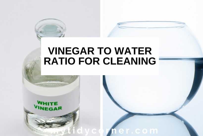 A bottle of white vinegar and glass jar of water with text that says, "Vinegar to water ratio for cleaning".