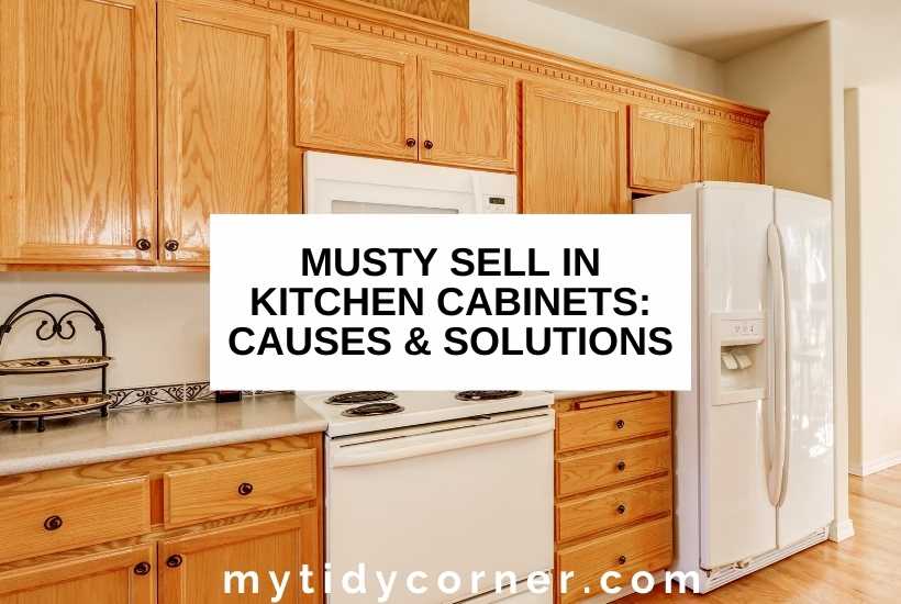 Kitchen cabinets, stove, fridge with text that says, "Musty smell in kitchen cabinets: Causes & solutions".