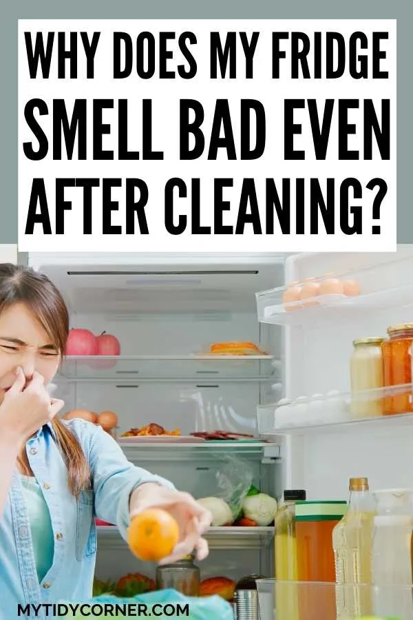 Woman in front of open refrigerator holding her nose and a rotten orange with text that says, "Why does my fridge smell bad even after cleaning?"