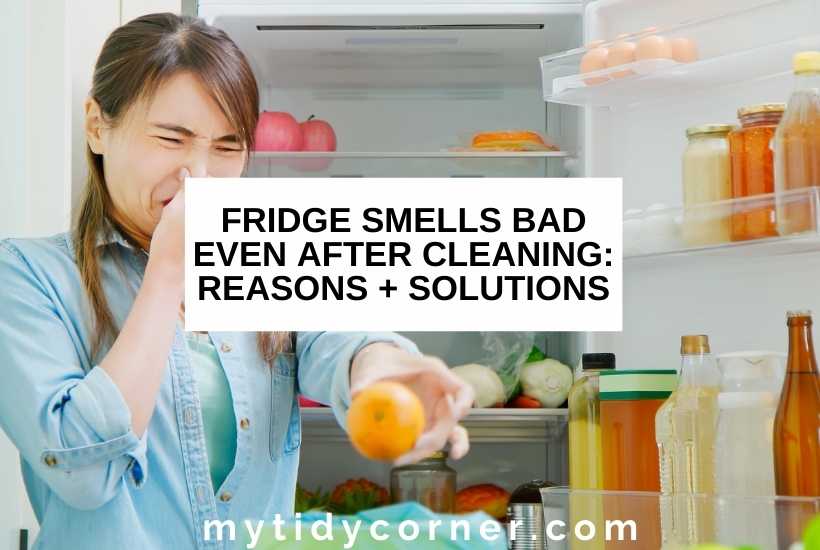 Woman holding her nose and a rotten organe in front of an open refrigerator with text that says, "Fridge smells bad even after cleaning: Reasons + Solutions".