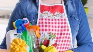 Cleaning for Christmas