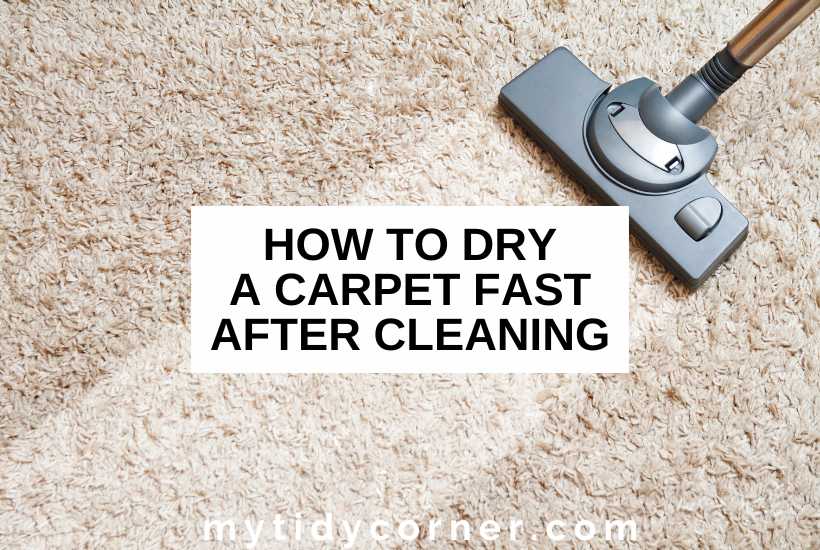 Steam cleaner on a carpet and text that says, "How to dry a carpet fast after cleaning".