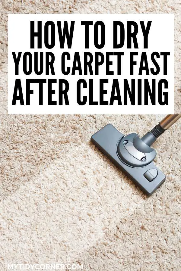 A steam cleaner on a light brown carpet and text that says, "How to dry your carpet fast after cleaning".
