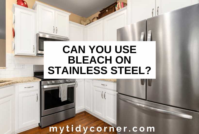 White cabinets, stainless-steel stove and fridge in a kitchen and text that says, "Can you use bleach on stainless steel?"