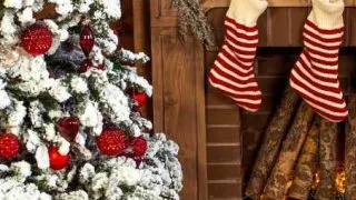 Christmas tree and other decorations (Declutter after Christmas)