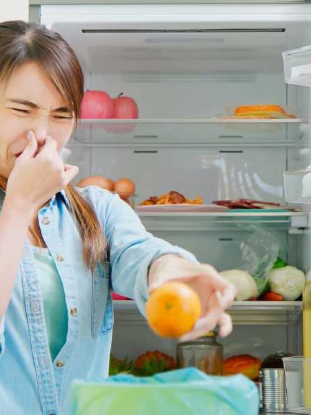 Why Your Fridge Smells Bad Even After Cleaning!