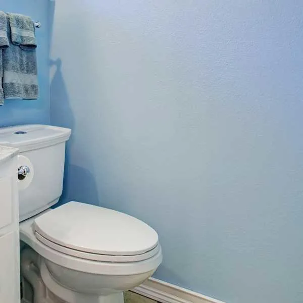 Toilet bowl near a light blue wall.