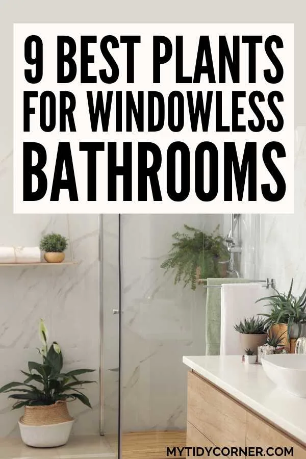 Assorted plants in a bathroom and text overlay that reads, "9 Best plants for windowless bathrooms".
