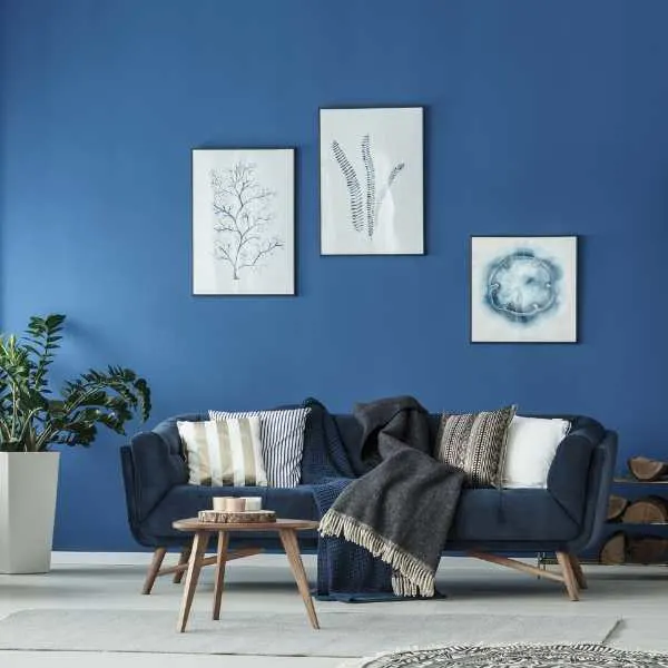 A living room with wall painted blue - one of the wellness colors.