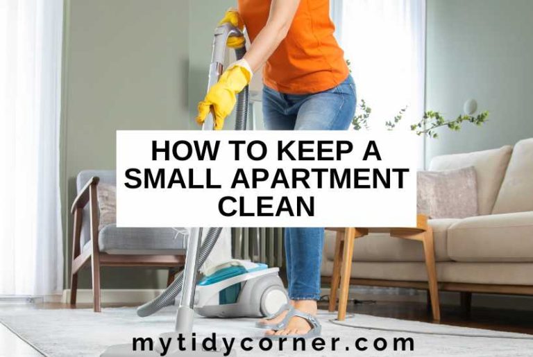 How to Keep a Small Apartment Clean