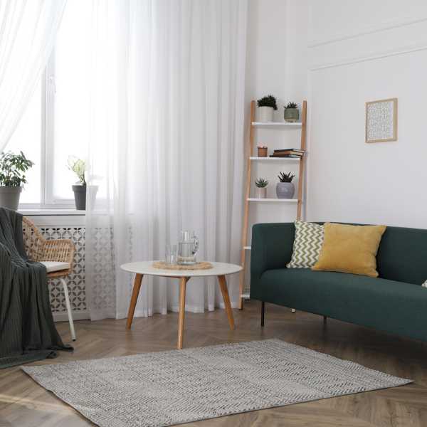 Living room with small area rug.