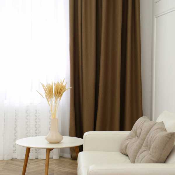 Room with brown curtain.
