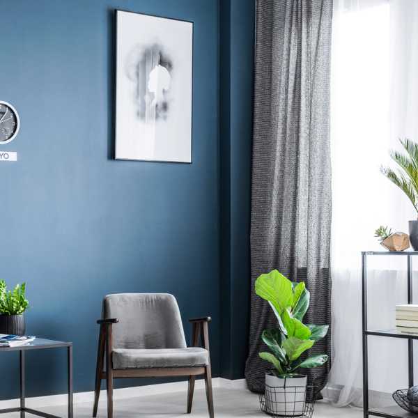 Blue and gray room.
