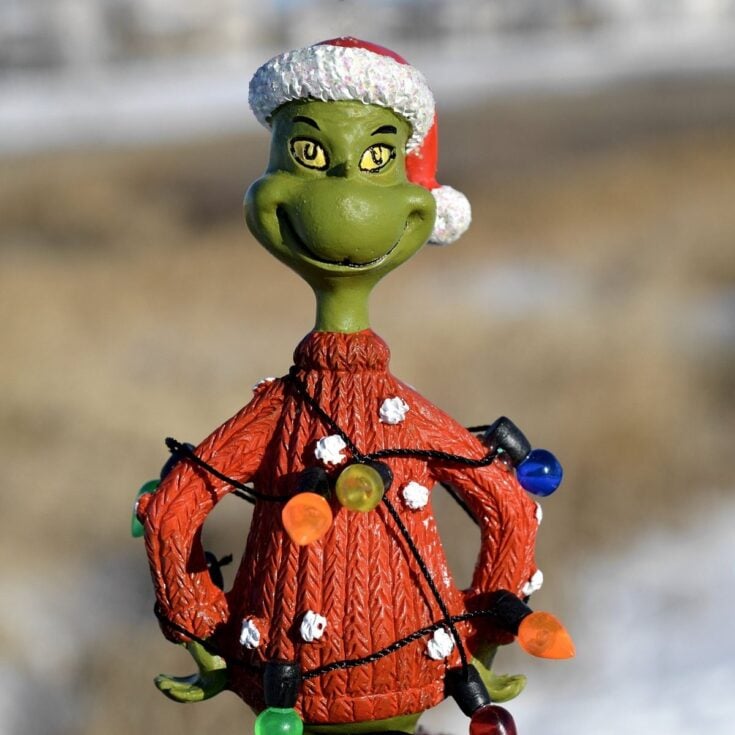 Image for The Best Grinch Christmas Tree Ornaments and Decorations