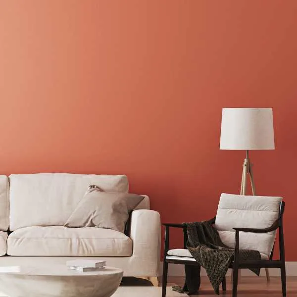 Living room with terracotta wall.