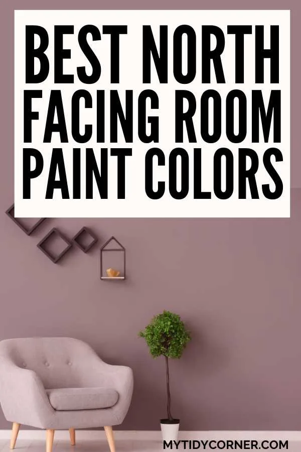 Pin graphic of a modern room with white chair and plant and text overlay that reads, "Best north facing room paint colors".