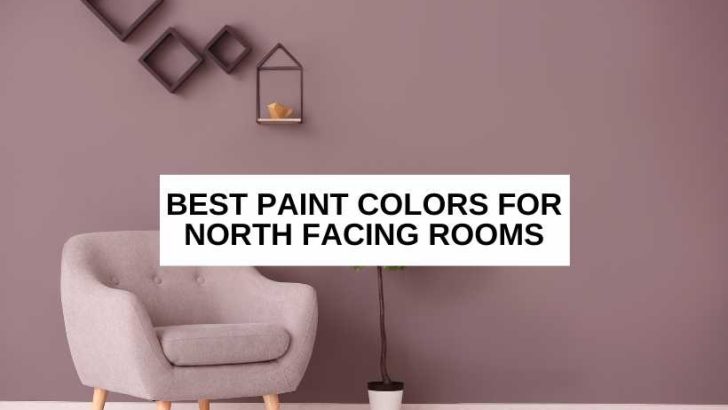 11 Best Paint Colors for South Facing Rooms - Harnessing Sunlight