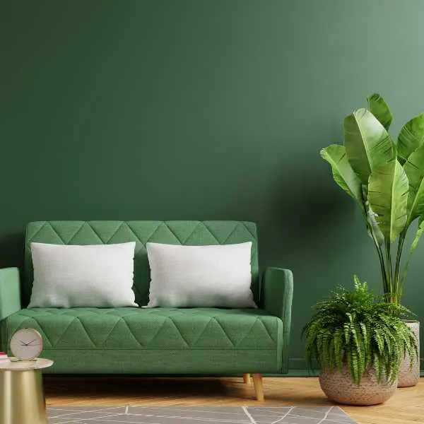 Room with green wall, couch and plant.