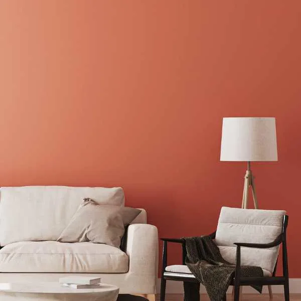 Room with orange wall and white chairs.