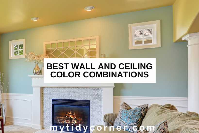 Wall And Ceiling Color Combinations