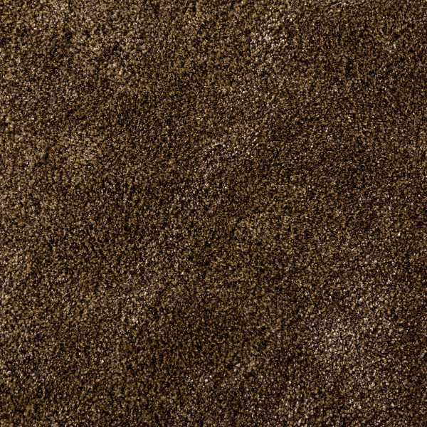 Chocolate Brown Carpet.