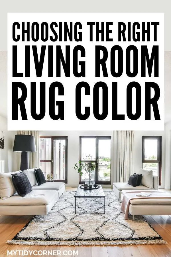 Classic living room and text overlay that reads, "Choosing the right living room rug color".